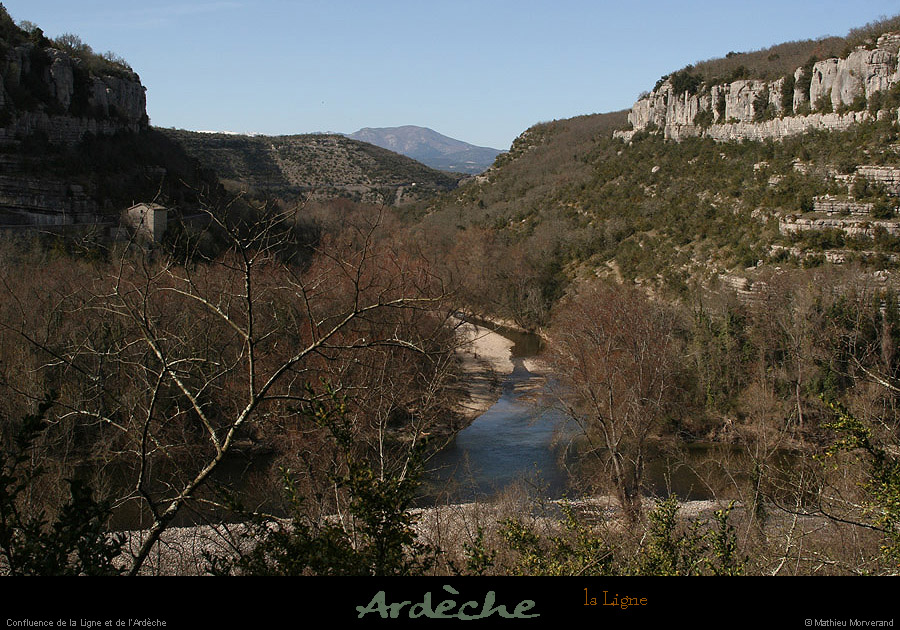 20090315_ruoms_petitboisenfaceligne2