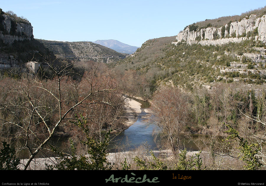 20090315_ruoms_petitboisenfaceligne3