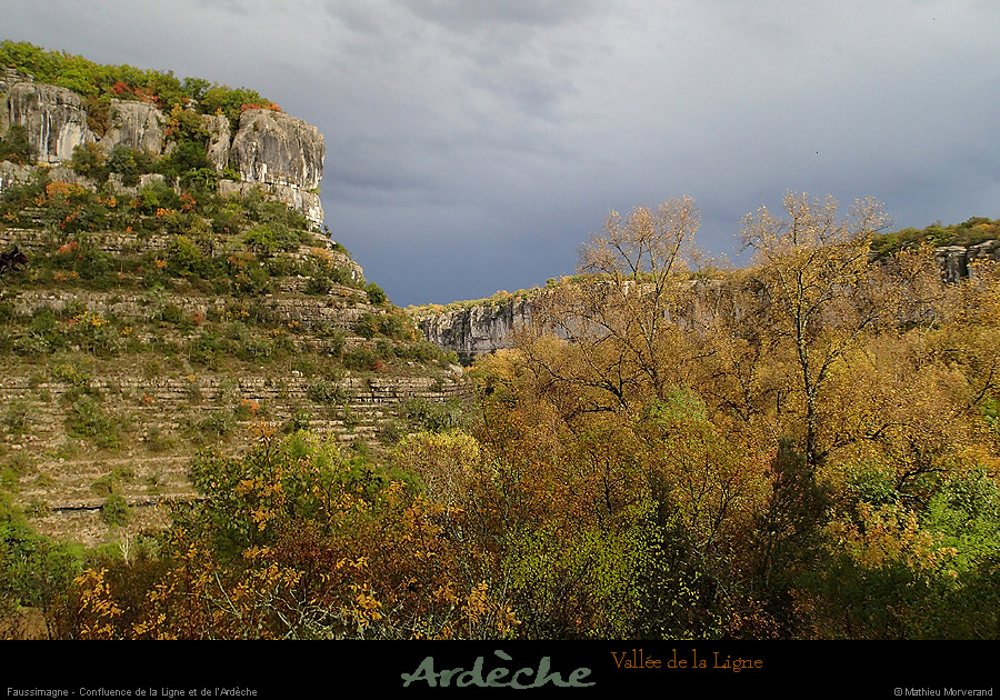 20151028_faussimagne1