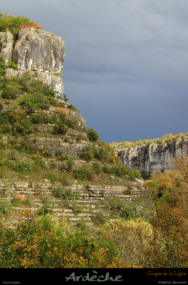 20151028_faussimagne2