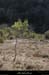20090315_faussimagne_pentesvalleeligne1