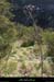 20090315_faussimagne_pentesvalleeligne2