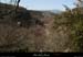 20090315_ruoms_petitboisenfaceligne1