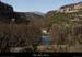 20090315_ruoms_petitboisenfaceligne2