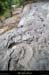 20160723_ligneamconfluence11