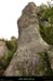 20170801_passagefaussimagnefalaises