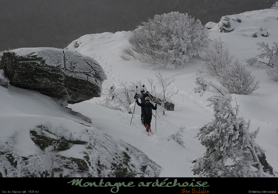 20100130_sepoux05