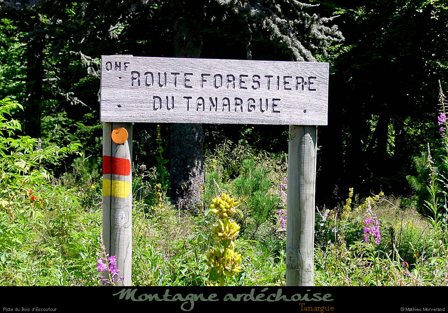 20010731_tanargue_panneauchemin_1