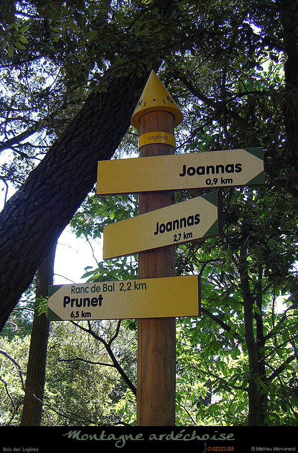 20100801_joannas_boisdelogeres
