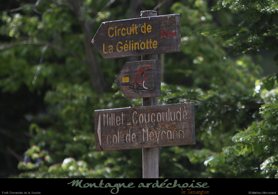 20110512_forettanargue_panneau2