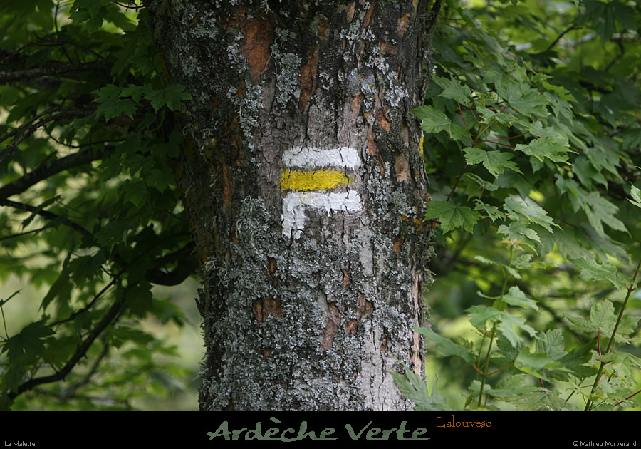20120618_lalouvesc_lavialette_balisage