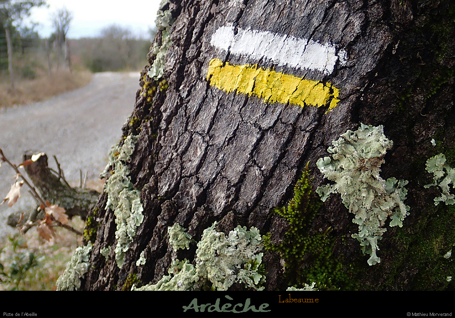 20140216_labeaume_pisteabeillenord2