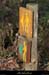 20100101_boisdecasteljau_balisage2