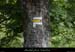 20120618_lalouvesc_lavialette_balisage