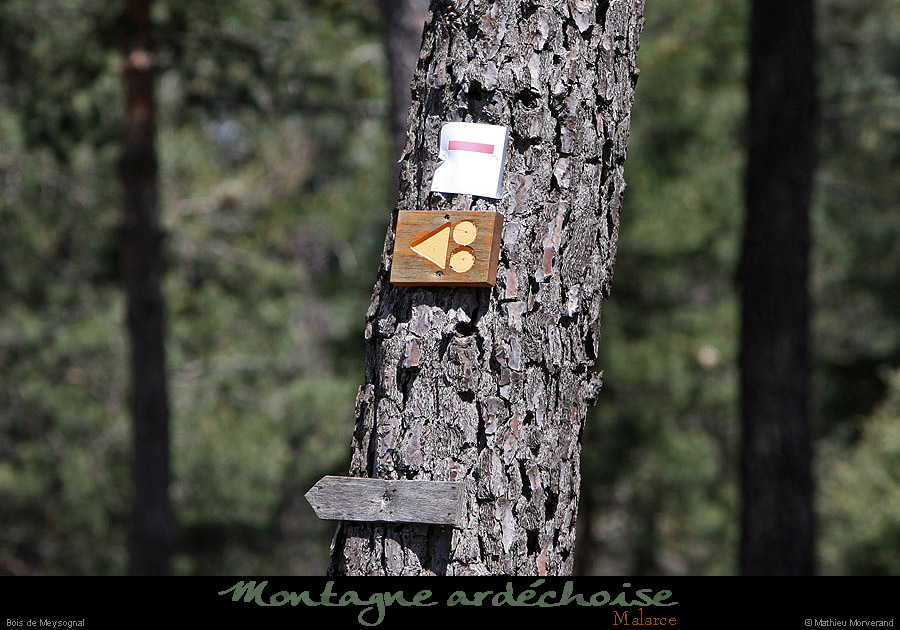 20100506_malarcehauteurs_meysognal3