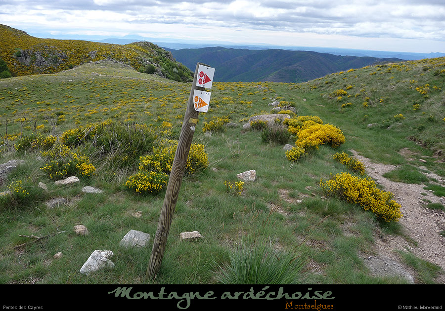 20100530_montselgues_penteslescayres2