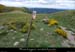 20100530_montselgues_penteslescayres2
