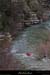 20140216_gorgesbeaume_kayaks_sschamontin1