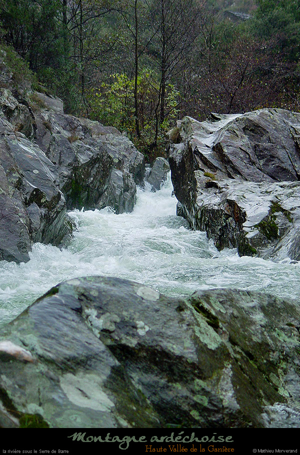 20021123_gagniere10