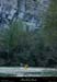 20041106_ligne_19