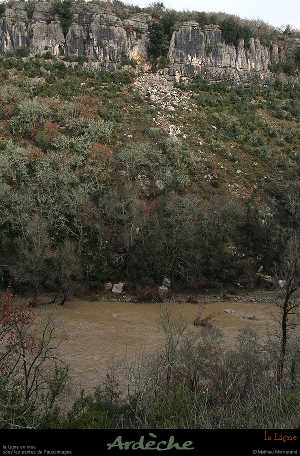 20131225_crueligne ssfaussimagne