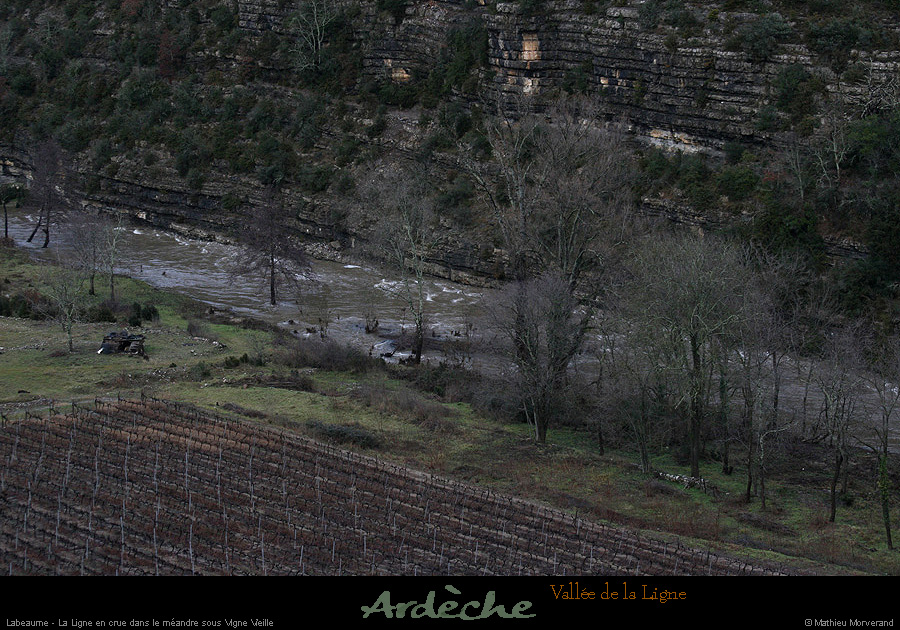 20131225_crueligne_meandressvignevieille
