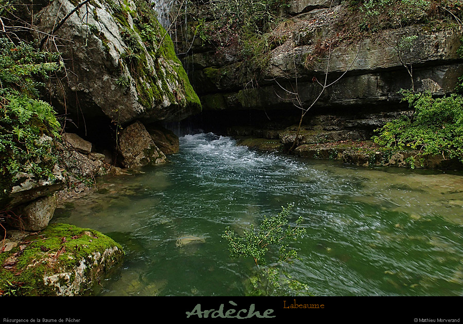 20131225_crueresurgencebaumepecher02