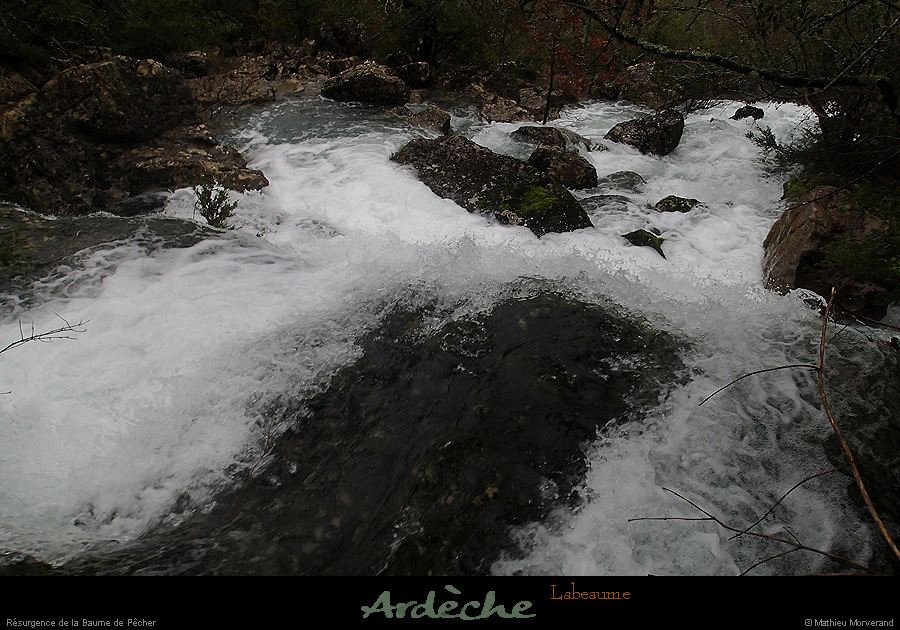 20131225_crueresurgencebaumepecher03