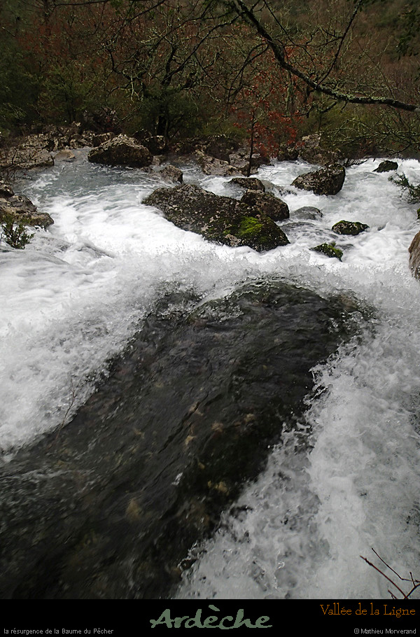 20131225_crueresurgencebaumepecher04