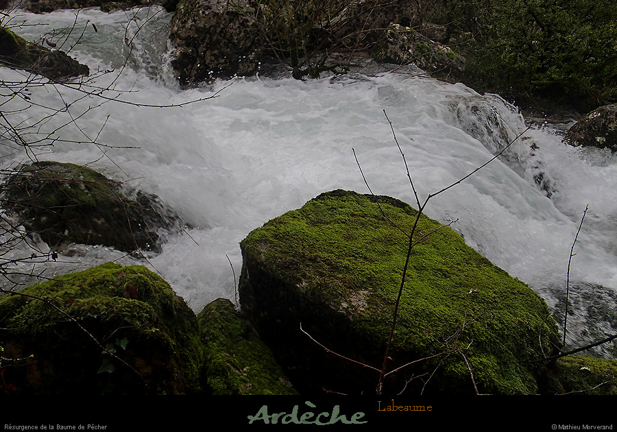 20131225_crueresurgencebaumepecher06