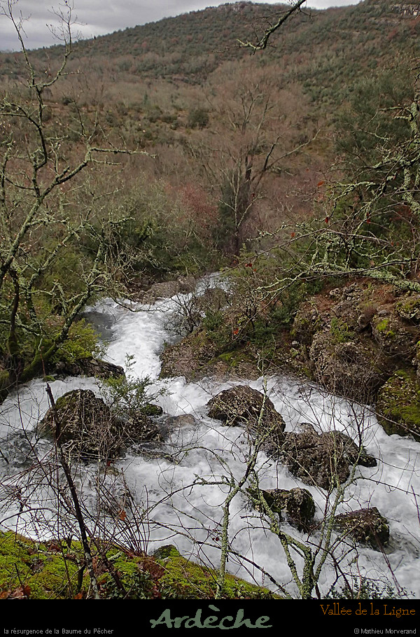 20131225_crueresurgencebaumepecher09