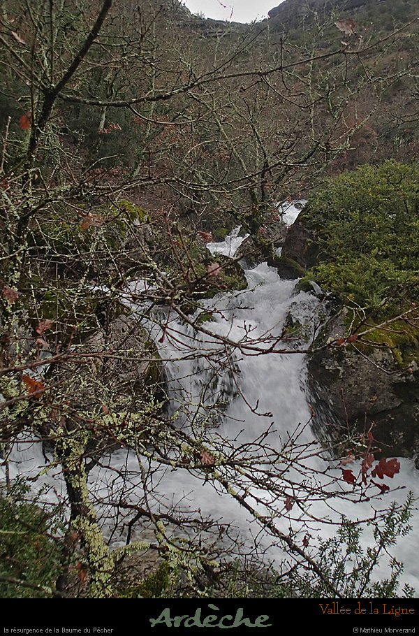 20131225_crueresurgencebaumepecher10
