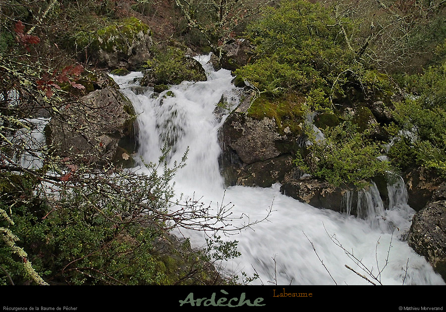 20131225_crueresurgencebaumepecher11