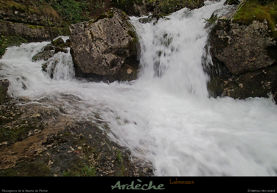 20131225_crueresurgencebaumepecher12