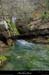 20131225_crueresurgencebaumepecher01