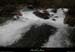 20131225_crueresurgencebaumepecher03