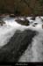 20131225_crueresurgencebaumepecher04