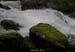 20131225_crueresurgencebaumepecher06