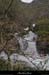 20131225_crueresurgencebaumepecher10