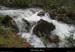 20131225_crueresurgencebaumepecher13