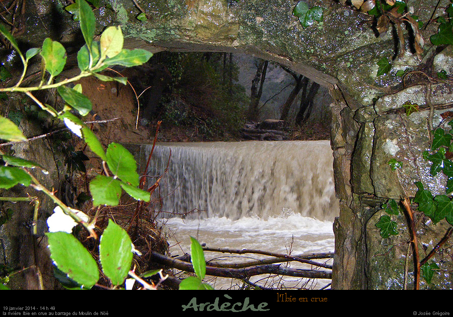 20140119_crueibie04_14h49