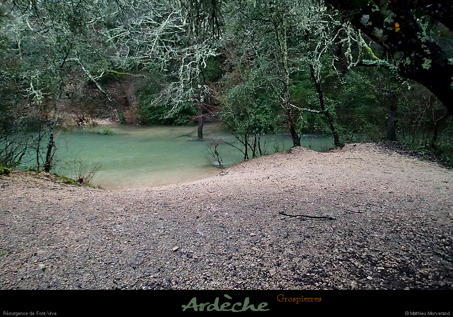20140119_fontvive_15h47