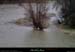 20140119_beaumepeyrocheam3_15h05