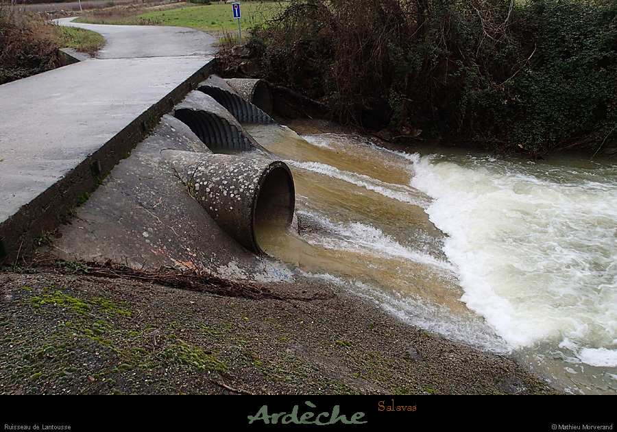 20130210_salavasruisseaulantousse14h54