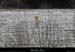20130210_vpa_moulinsampzon5_15h13