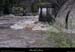 20140919_bigournettept01