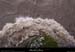 20140919_bigournettept03
