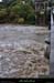 20140919_bigournettept04