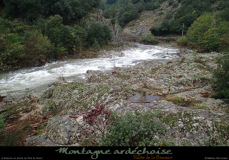 20141013_beaume_piedfrboeuf2_928