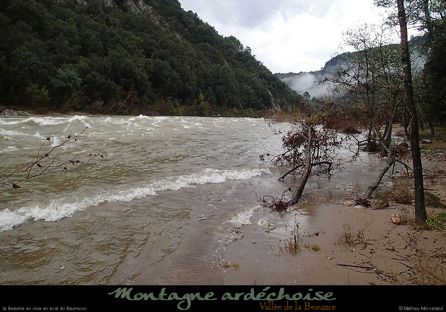 20141013_beaume_ribes_baumicouaval1_847